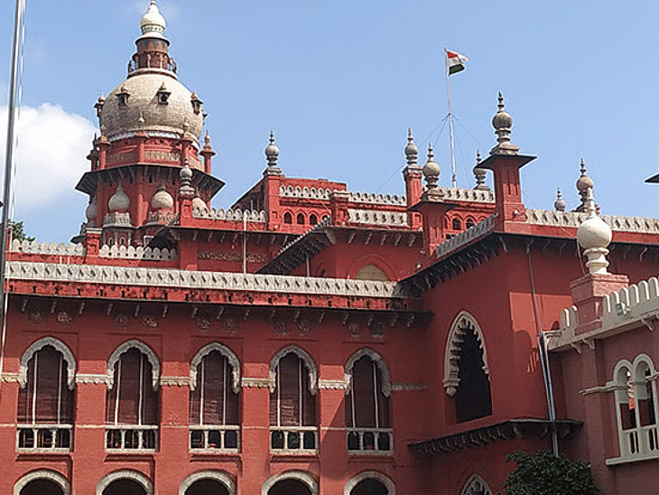 तमिलनाडु में बकरीद पर गाय-बछड़ों की कुर्बानी नहीं:मद्रास हाईकोर्ट बोला- ये इस्लाम में जरूरी प्रथा नहीं, कई मुस्लिम शासकों ने भी रोक लगाई