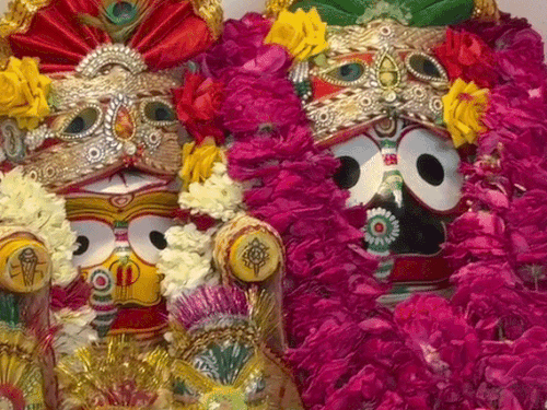 108 पवित्र कलशों से भगवान श्री जगन्नाथ का दिव्य स्नान:अब अनवसरा काल में करेंगे विश्राम; मंदिर शिखर पर चढ़ाया ध्वज