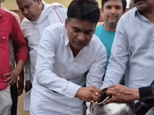 40 साल से वीरान श्मशान में हरियाली की नई शुरुआत:गांव के लोगों ने मिलकर लगाए 151 पौधे, विकास कामों ने बदल दी पूरी तस्वीर