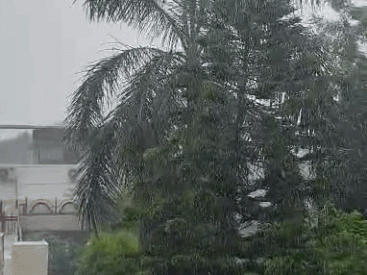 उदयपुर में तेज बारिश, कई जगह पेड़-बिजली पोल गिरे:गाड़ियों पर पेड़ गिरने से हुई क्षतिग्रस्त; 5 दिन आंधी-बारिश का अलर्ट