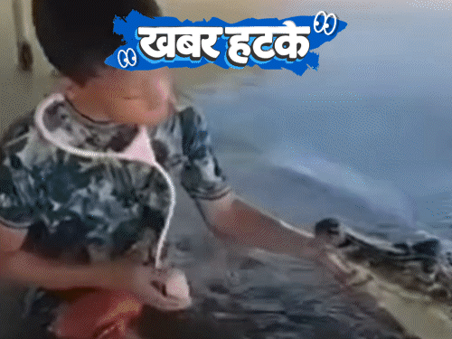 खबर हटके- मगरमच्छ के साथ बच्चे ने खेला डॉक्टर-डॉक्टर:जहरीली चींटी से कटवाकर साबित होती है मर्दानगी; रेस्टोरेंट में कमोड में सर्व हो रहा खाना