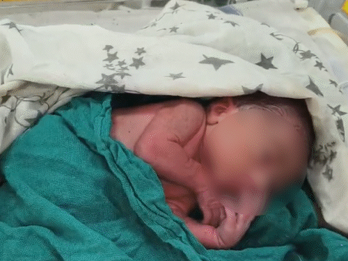 नवजात को प्लास्टिक में लपेटकर सड़क किनारे फेंका:रोने की आवाज सुनकर पहुंचे ग्रामीणों ने उठाया, एक घंटे पहले हुआ जन्म