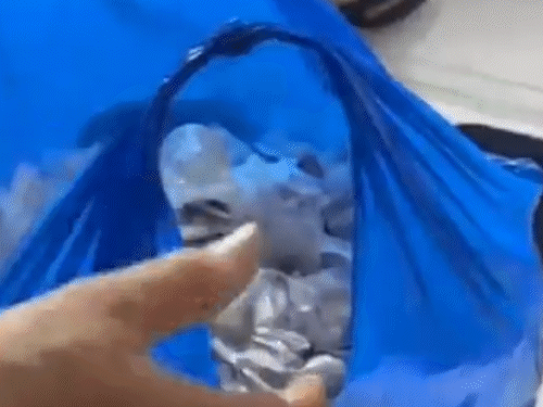 मुंबई-मुहर्रम जुलूस में दर्द की दवा बताकर जहरीले कैप्सूल बांटे:पुलिस ने 14,900 कैप्सूल के साथ व्यक्ति को पकड़ा; चूहे मारने वाला जहर भरा था