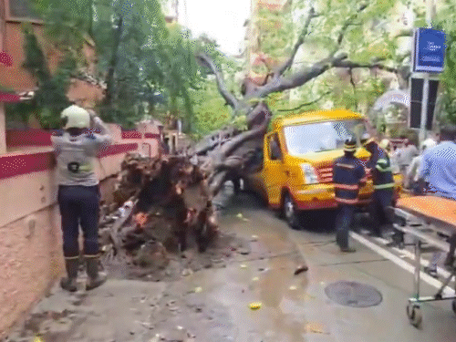 मुंबई में चलती स्कूल बस पर पेड़ गिरा:एक छात्र की मौत, 11 घायल; सभी स्टूडेंट स्कूल से घर लौट रहे थे