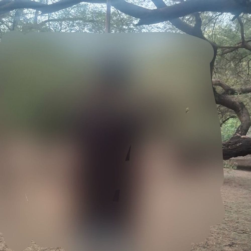 रणथंभौर नेशनल पार्क में युवक का शव मिला:पेड़ पर फंदे से लटका था, मोबाइल से हुई पहचान; बिहार का रहने वाला था