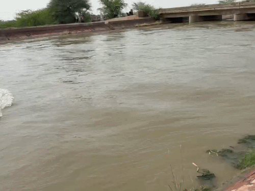 सोशल मीडिया पर लाइव के बाद युवक लापता:सुसाइड करने की दी थी चेतावनी; IGNP में ढूंढ रही पुलिस, छह जनों पर गंभीर आरोप