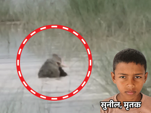 12 साल के बच्चे को मगरमच्छ जिंदा खा गया, VIDEO:बहराइच में पैर जबड़े में दबाकर खींच ले गया, बच्चा तड़पता रहा…चाचा चिल्लाते रह गए