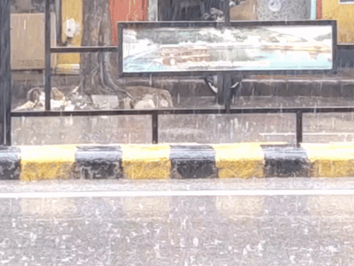 अलवर के कई इलाकों में बूंदाबांदी हुई:मौसम विभाग ने जारी की बिजली गिरने की चेतावनी, अगले पांच दिन येलो अलर्ट