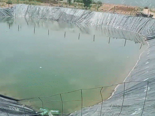 अलवर में 10 फीट गहरे हौद में डूबे दो दोस्त,मौत:'बचाओ-बचाओ' चिल्लाते रहे, नहाने के लिए उतरे थे, बाहर खड़े दोस्तों ने ग्रामीणों को बुलाया