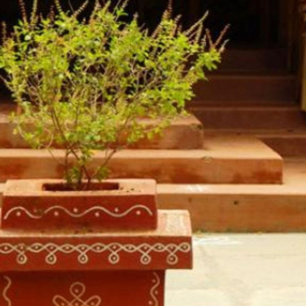 आज आषाढ़ मास की अमावस्या:दोपहर में करें पितरों के लिए धूप-ध्यान और सूर्यास्त के बाद तुलसी के पास जलाएं, जानिए अमावस्या पर कौन-कौन से शुभ काम करें