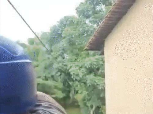कर्नाटक में जिपलाइन राइड के दौरान सेफ्टी लॉक खुला, VIDEO:पर्यटक 40 फीट नीचे गिरा, हाथ-पैरों में कई फ्रैक्चर; परिवार ने रिजॉर्ट प्रबंधन पर लगाए आरोप