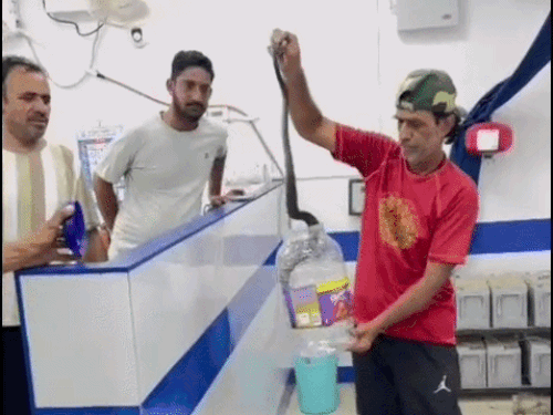 केंचुली बदलने बैंक में घुसा 5 फीट लंबा कोबरा:फुटेज में दिखा सांप, स्नेक कैचर ने एक घंटे की मशक्कत के बाद किया रेस्क्यू
