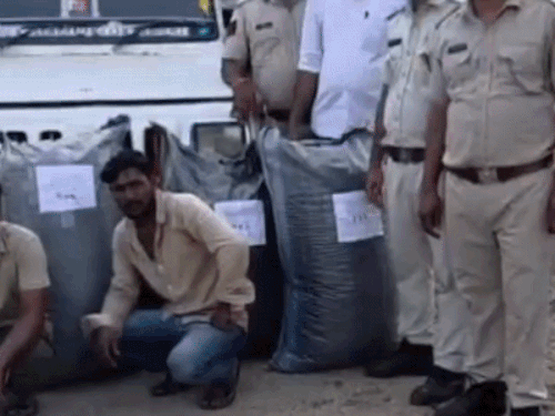 कोटा में चारे की आड़ में नशे की तस्करी:नाकाबंदी तोड़कर भागे तस्करों की पिकअप घेराबंदी कर पकड़ी, पांच कट्टों में भरा डोडा-चूरा जब्त, दो गिरफ्तार