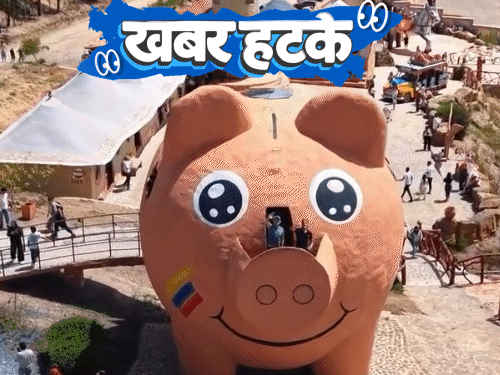 खबर हटके- रेस्टोरेंट का ऑफर, अजगर के बदले पिज्जा फ्री:कीड़े पकड़ने पर पैसे दे रही सरकार; दुनिया की सबसे बड़ी गुल्लक, जिसके अंदर जाते हैं लोग