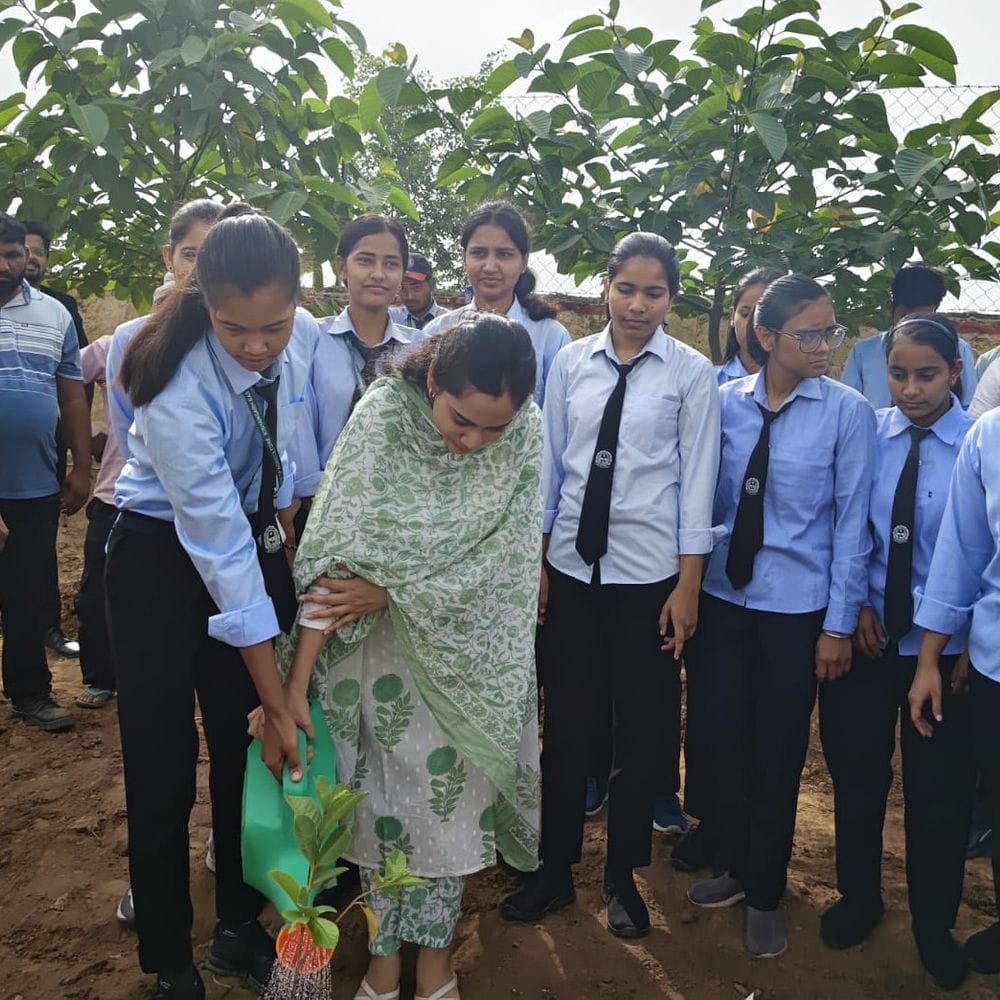 खैरथल-तिजारा में न्यायिक अधिकारियों ने एग्रीकल्चर कॉलेज में किया पौधारोपण:पर्यावरण बचाने का दिया संदेश, संरक्षण को बताया हर नागरिक की जिम्मेदारी
