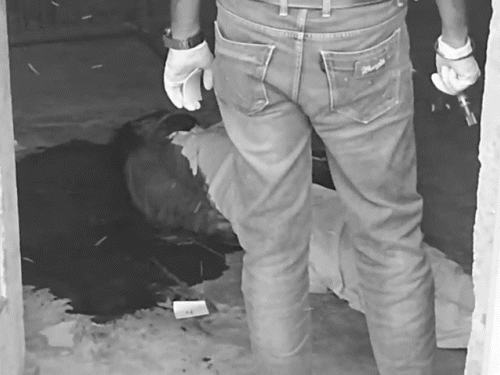 घर बुलाकर बॉयफ्रेंड की हत्या, कुल्हाड़ी से गर्दन काटी:फरीदकोट में हाथ-पैर व मुंह बांधा; पिता पंजाब पुलिस में हेड कांस्टेबल