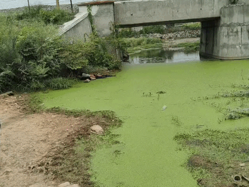 चित्तौड़गढ़ में चलती ट्रेन से गिरा युवक:जयपुर-भोपाल ट्रेन से घर लौट रहा था, टॉयलेट जाने के बाद गेट पर खड़ा था