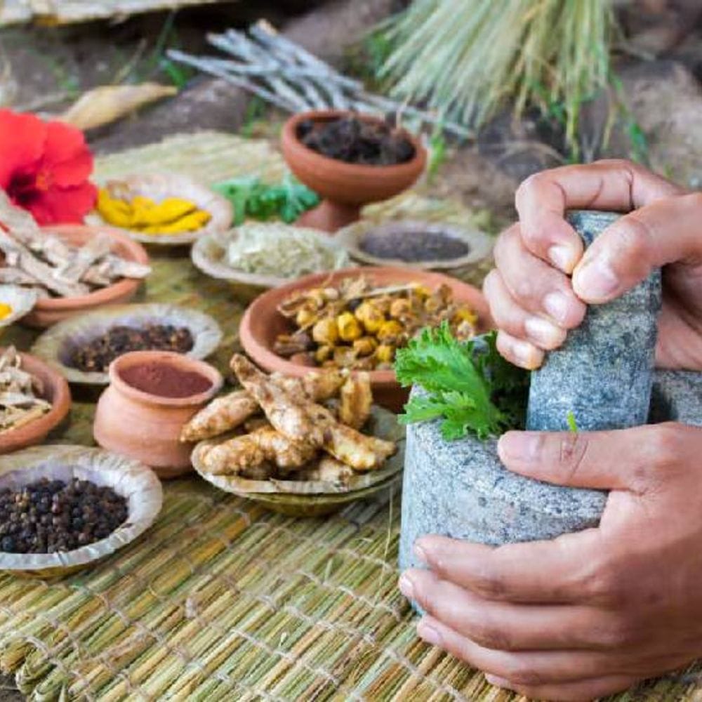 जड़ी-बूटियों, आयुर्वेदिक फॉर्मुलेशन के लिए क्लीनिकल ट्रायल जरूरी:लाइफ क्वालिटी बेहतर बनाने के लिए भारत ही नहीं, अब दुनियाभर में अपनाया जा रहा ‘साइंटिफिक-आयुर्वेद’
