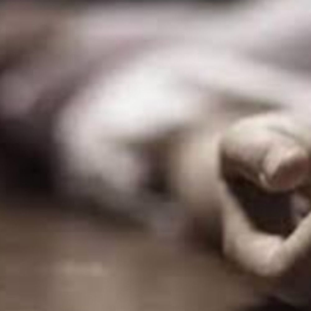 जयपुर में XUV ने युवक को रौंदा, मौत:दूसरी गाड़ी से कार टकराई; युवकों के मारपीट से बचने के लिए भागते समय हादसा
