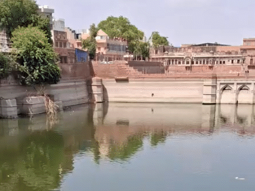 जोधपुर की बावड़ियों के लिए टूरिस्ट ने छोड़ा अपना देश:पैर टूटने पर भी नहीं थमे, 10 बावड़ी साफ कर चुके; बोले-अब यहीं मरना चाहता हूं