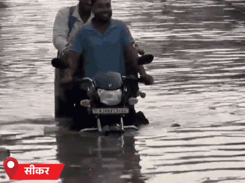 जोधपुर में तेज बारिश, सीकर पानी-पानी:जयपुर में पेड़ टूटे, कई जिलों में 2 इंच पानी बरसा; 5 दिन भारी बरसात की चेतावनी