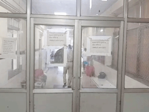 प्रसूताओं को दी गई दवाइयों की रिपोर्ट भी सामान्य आई:29 सैंपलों में से 24 की रिपोर्ट नॉर्मल; सिजेरियन डिलीवरी के बाद बिगड़ी थी 8 की तबीयत