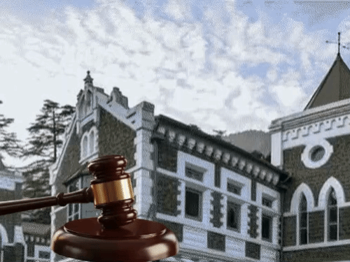प्रियंका गांधी वाड्रा की जेठानी का भूमि विवाद हाईकोर्ट पहुंचा:लोगों को हटाने, महिलाओं-बच्चों को रोकने का आरोप; SDM-SHO तलब