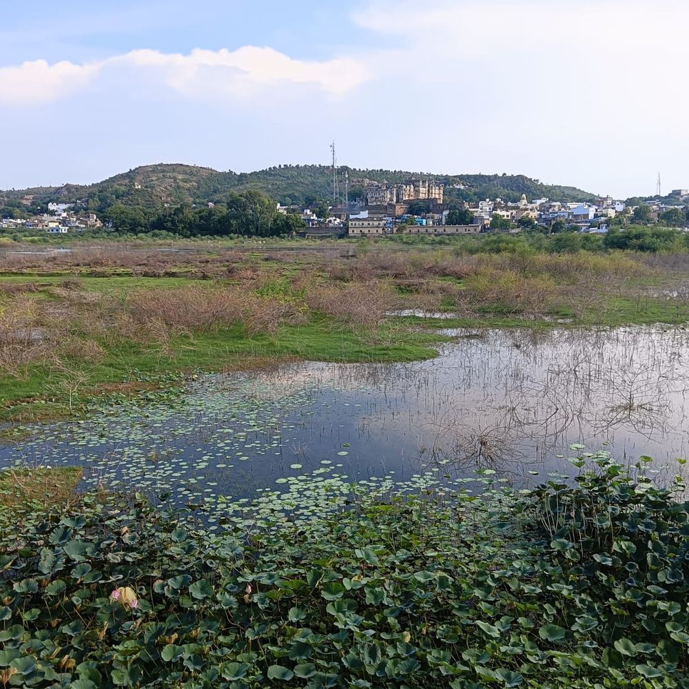 बड़ी सादड़ी के सूर्य सागर तालाब का जीर्णोद्धार होगा:सफाई के लिए दो टीमें बनाई गईं, जेसीबी से होगी सफाई