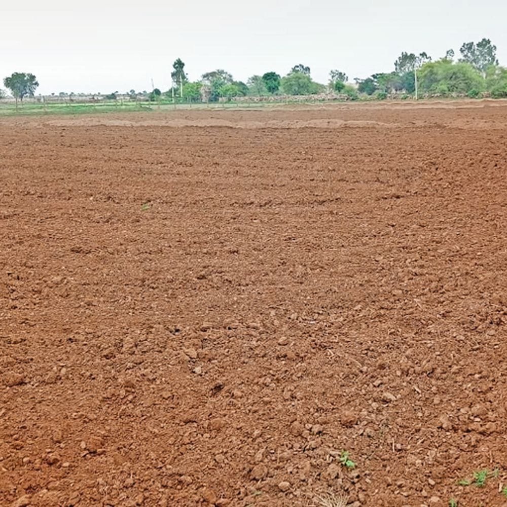 बारिश की कमी से खरीफ फसलों पर संकट गहराया, बुवाई नहीं होने से किसान चिंतित