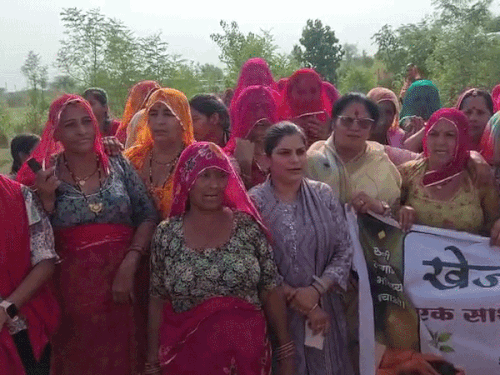 बीकानेर में आज लगाएंगे 11 हजार खेजड़ी के पौधे:22 ब्लॉक में एक साथ पौधारोपण, 363 महिलाओं ने बजाए नगाड़े