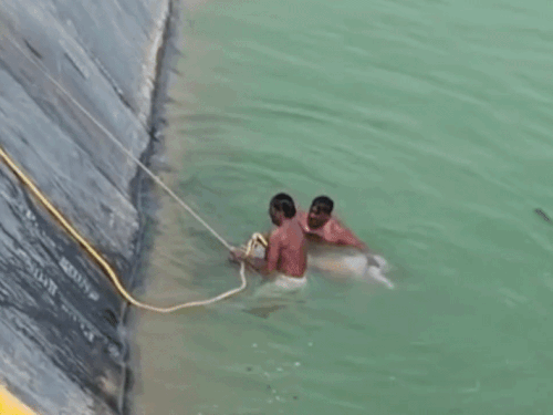 भाई को बचाने डिग्गी में कूदा बड़ा भाई,दोनों की मौत:रेस्क्यू करने के लिए ग्रामीण उतरे; पाइप ठीक करते समय पैर फिसला था