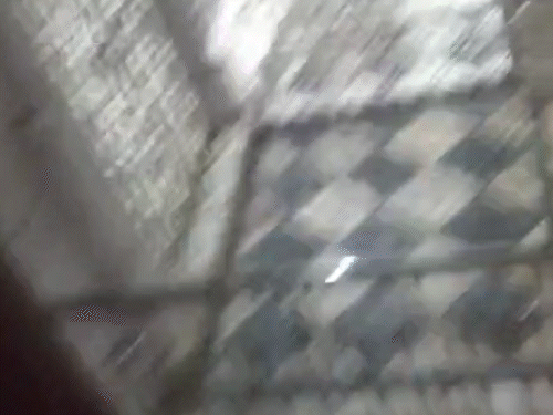 मंदिर में घुसे बदमाश, पिस्टल दिखाकर चांदी के गहने चुराए:लाठी लेकर पुजारी, बेटा-भांजा सामने गए; नकाबपोश बोला-पीछे हटो वरना गोली ठोक दूंगा