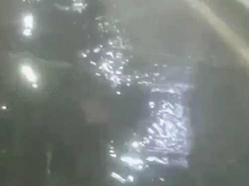 मानसून की पहली बारिश से SMS ट्रोमा सेंटर पानी-पानी:देर रात हुई बरसात से ग्राउंड फ्लोर पर जगह-जगह पानी भरा, फॉल सिलिंग गिरी; माइनर ओटी में पानी टपकने से ट्रीटमेंट रोका