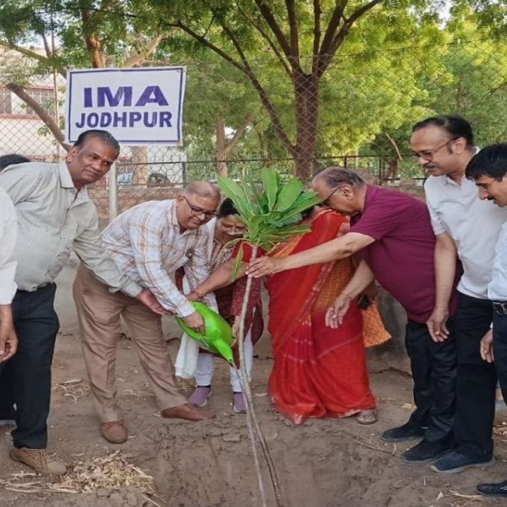 मारवाड़ मेडिकल यू​निवर्सिटी से जुड़े कॉलेज के एग्जाम 3 से:डॉक्टर्स डे पर किया पौधरोपण; आईएमए पदाधिकारियों ने किया ब्लड डोनेशन