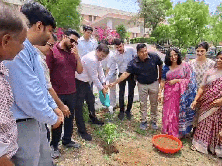 मोहनलाल सुखाड़िया यूनिवर्सिटी कैंपस में लगाए पौधे:भास्कर के एक पेड़, एक जिंदगी अभियान के तहत लॉ और आर्ट्स कॉलेज में पौधारोपण