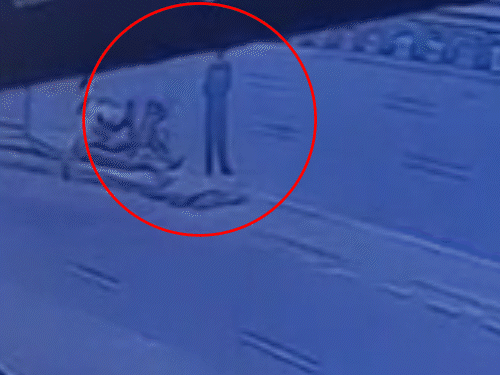 लिफ्ट मांगी, उसी ट्रेलर ने कुचला, 4 की मौत, VIDEO:घर जाने के लिए हाईवे पर बने डिवाइडर पर खड़े थे, जानें- हादसे की 3 वजह