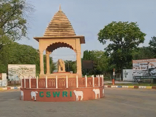 वेस्ट मोटी ऊन से बना रहे लेडीज-पर्स और माउस पैड:टोंक में वैज्ञानिक ने 10 साल रिसर्च की, ऑफिस फाइल और ब्लेजर भी तैयार किए