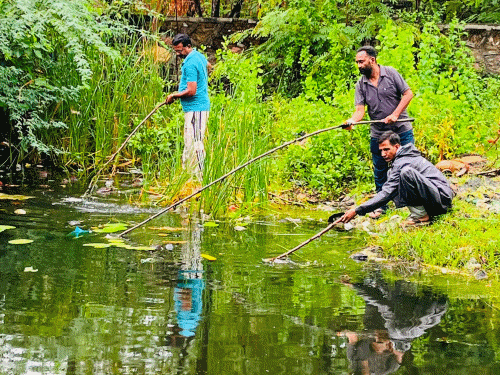 सलूम्बर में 'क्लीन सलूम्बर-ग्रीन सलूम्बर' टीम सक्रिय:महीनों से तालाब-नदियों की सफाई, प्लास्टिक छोड़ने की अपील