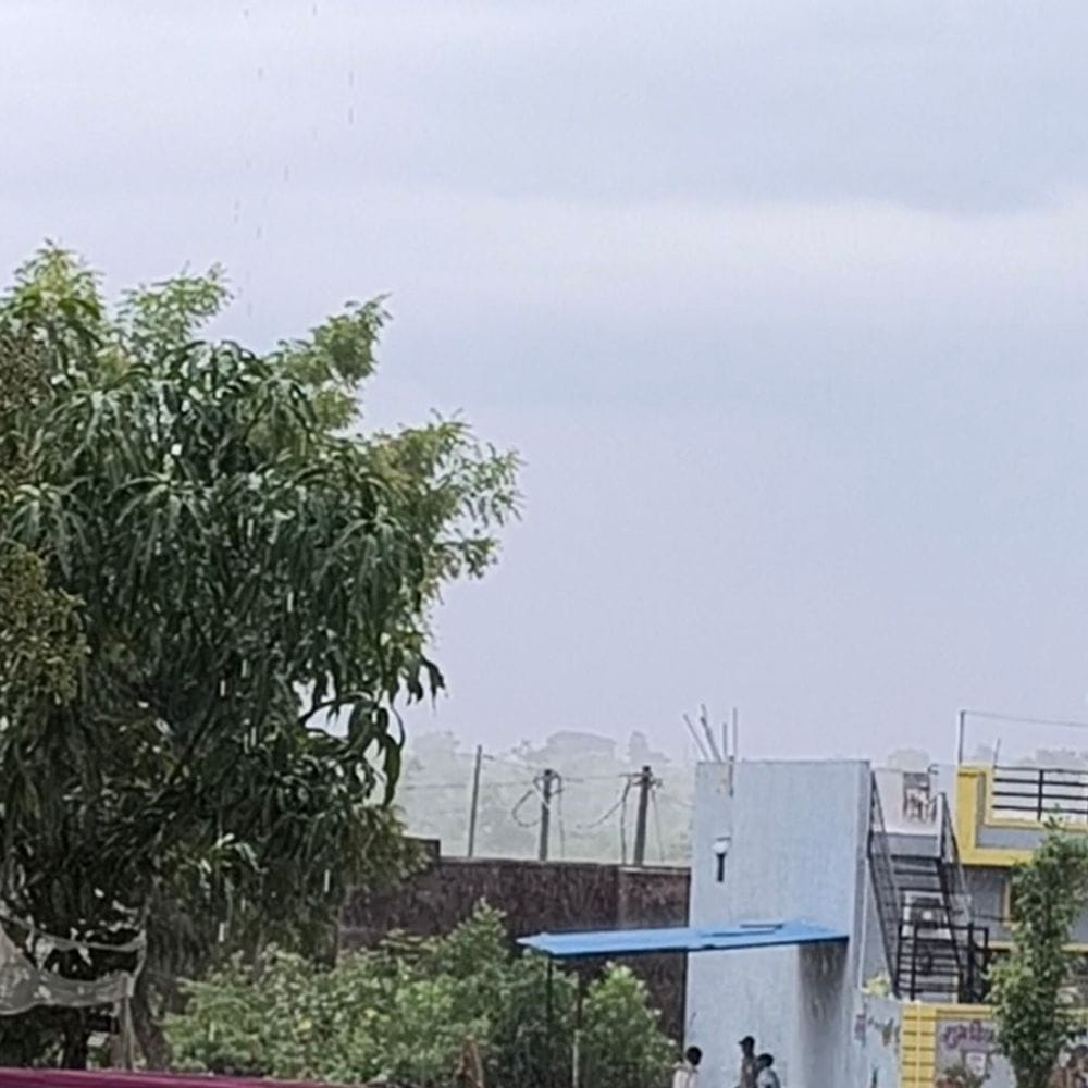 सलूम्बर में मानसून सक्रिय, सेमारी में 55 मिमी बारिश:चार दिन से जारी बारिश से खरीफ बुवाई ने पकड़ी रफ्तार