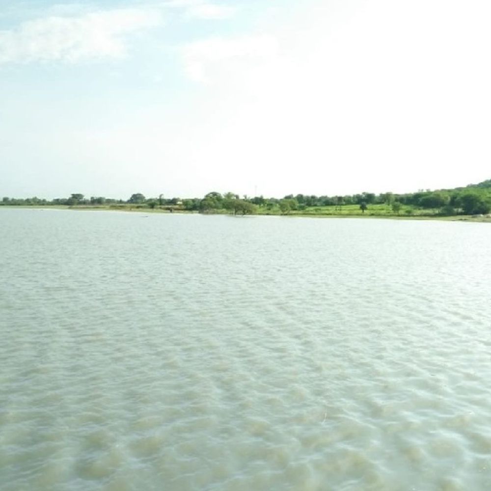 सवाई माधोपुर के 18 में से 13 बांधों में पानी:5 पूरी तरह खाली; मानसरोवर बांध में सबसे ज्यादा 22.9 गेज पानी