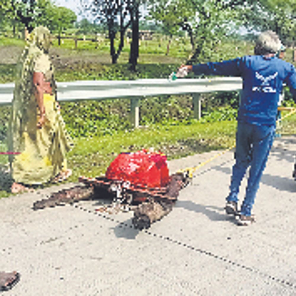 हरिपुरा नायगांव में घासभैरूजी की सवारी को गांव में घुमाया