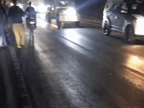 हाईवे पर भेड़ों को कुचला, 11 की मौत:6 से ज्यादा घायल; सड़क क्रॉस करते समय हुआ हादसा