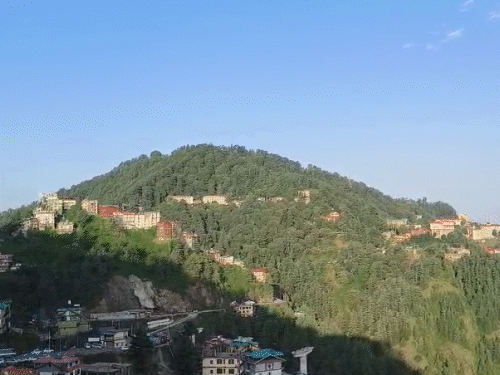 हिमाचल में तीन दिन की धूप से उमस बढ़ी:तापमान में उछाल, 11 शहरों का पारा 30॰C पार; 18 जुलाई से भारी बारिश